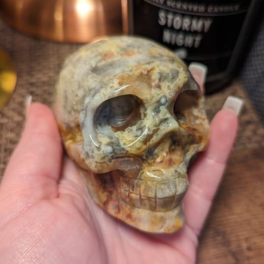 Crazy Lace Agate Skull 691g