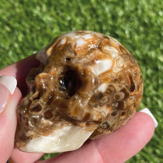 Small Chocolate Calcite Skull