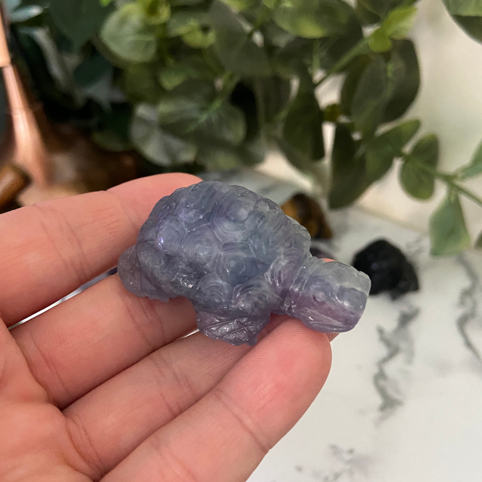 Tortoise Carving 50mm - Earth Elements UK