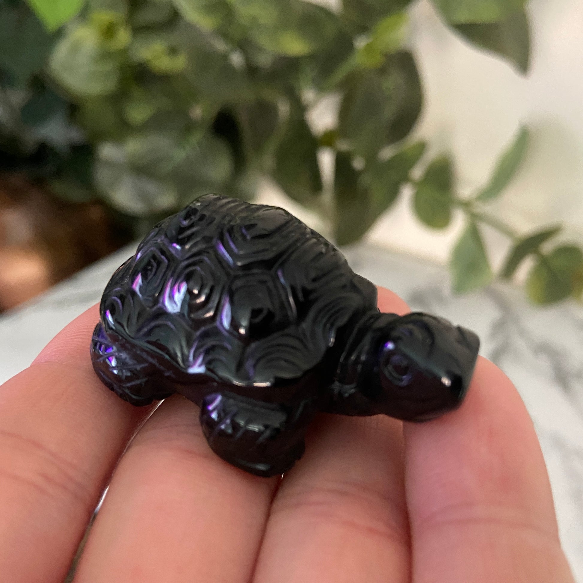 Tortoise Carving 50mm - Earth Elements UK
