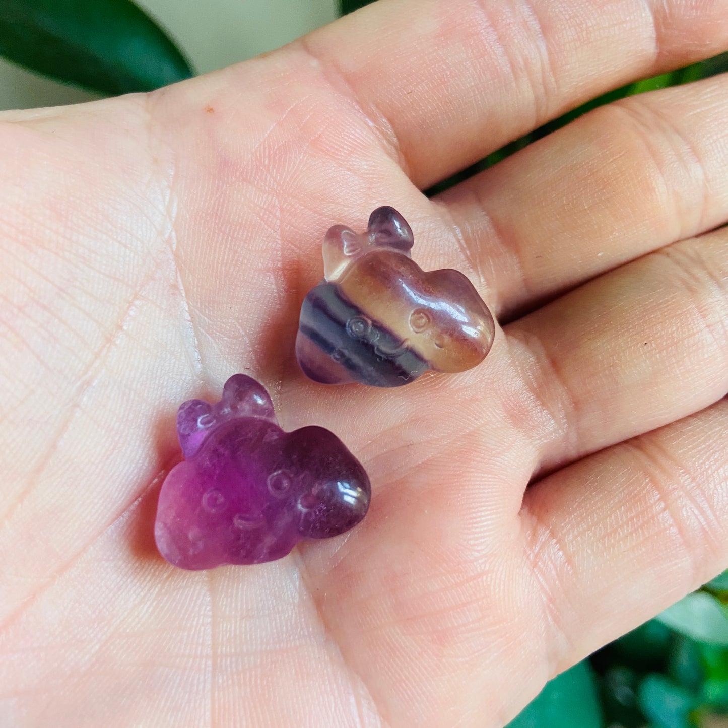 Mini Fluorite Cloud - Earth Elements UK