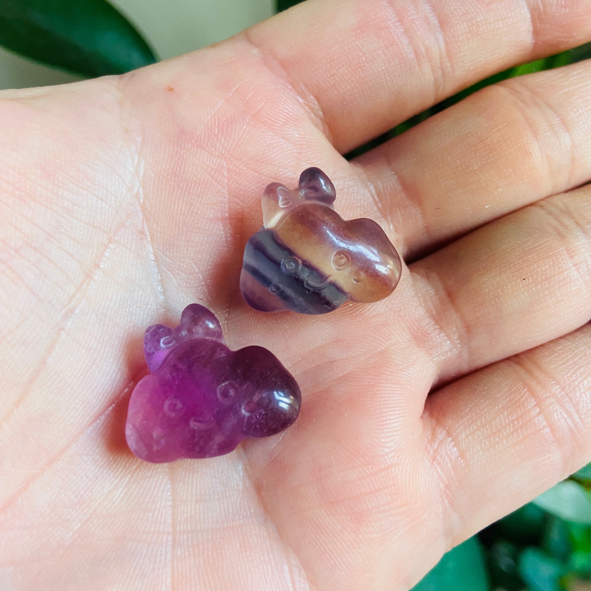 Mini Fluorite Cloud - Earth Elements UK