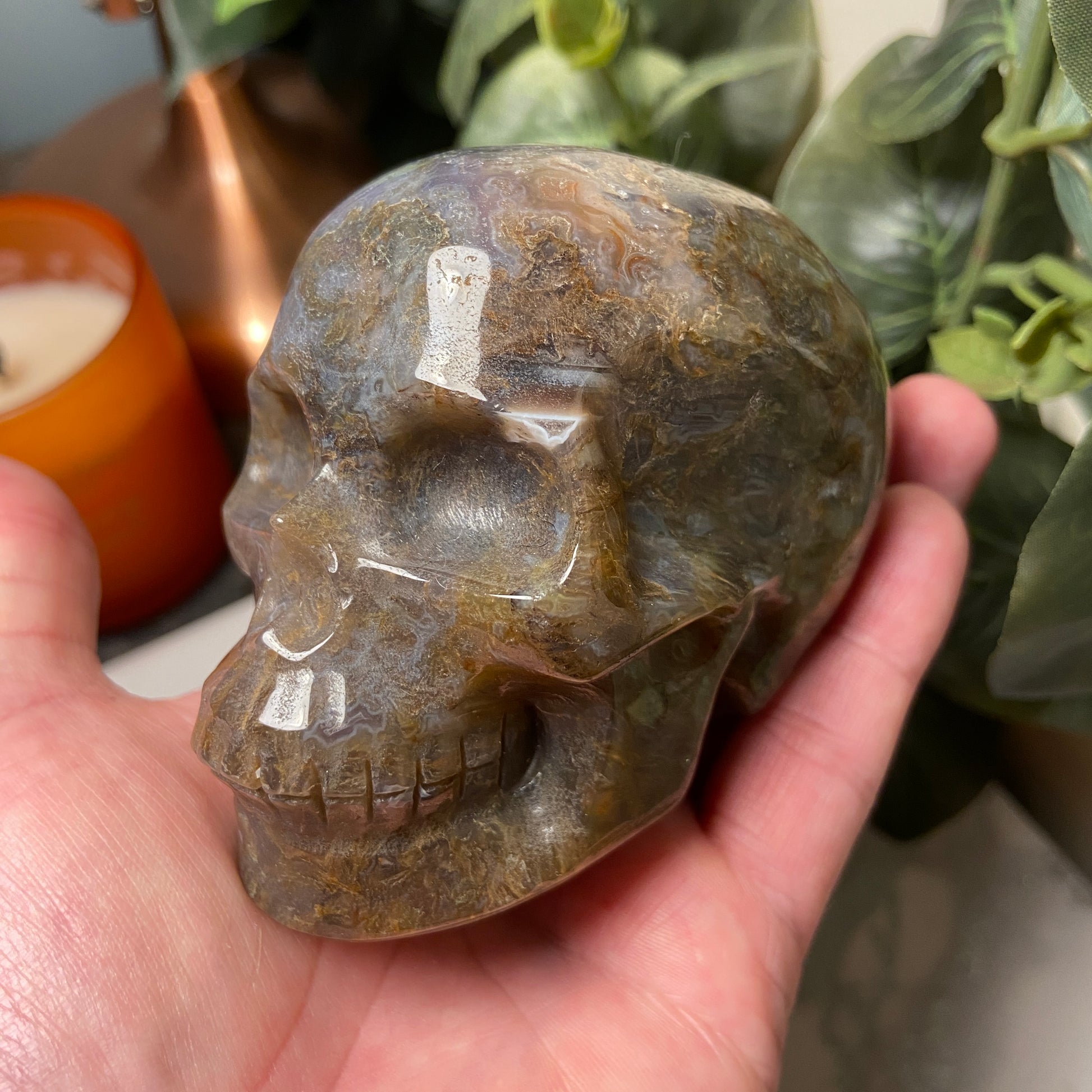 Ocean Jasper Large Skull 540g - Earth Elements UK