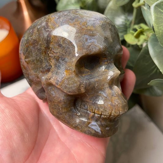 Ocean Jasper Large Skull 540g - Earth Elements UK