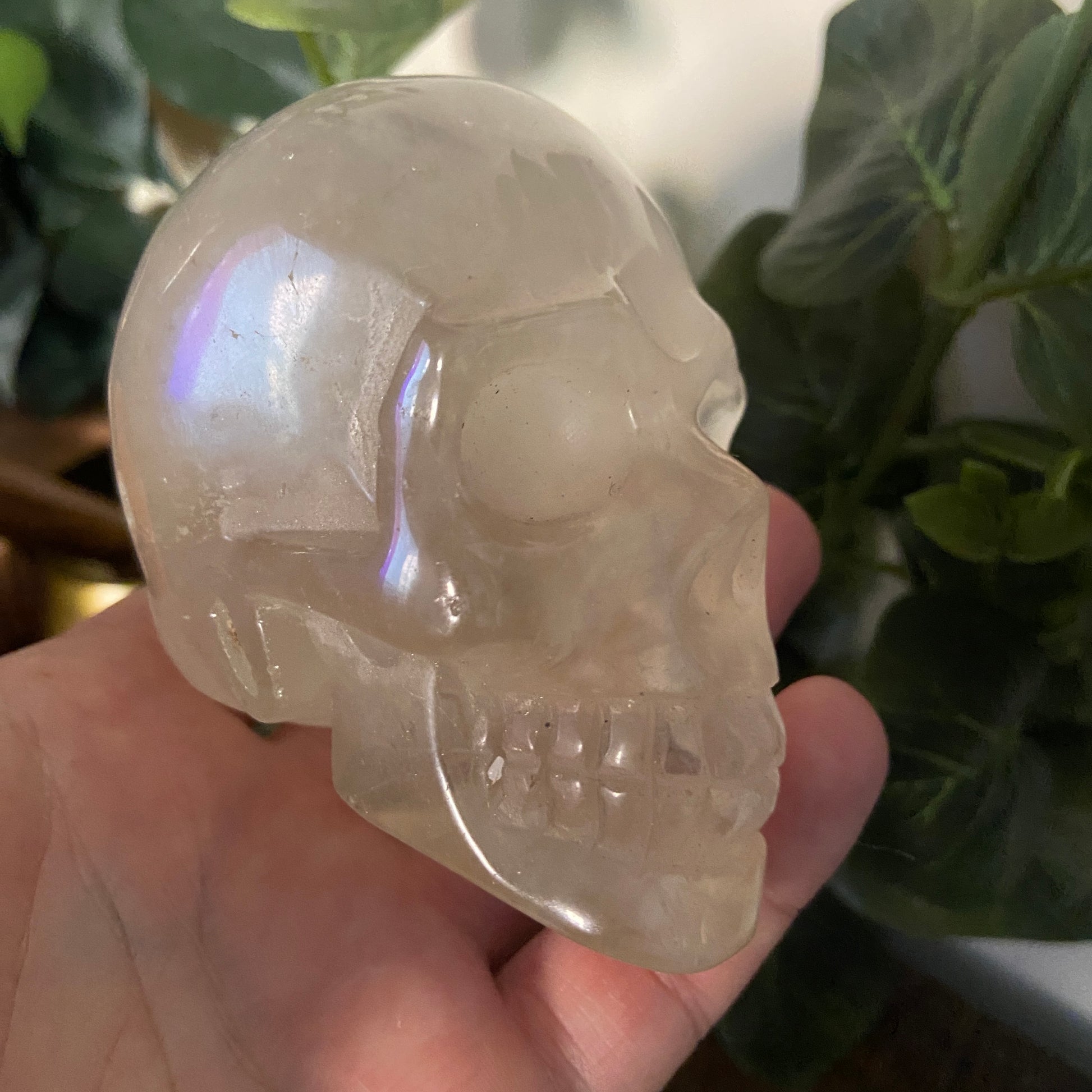 Clear Quartz Large Skull 447g - Earth Elements UK