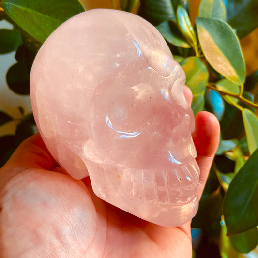 Rose Quartz Large Skull – 704g - Earth Elements UK