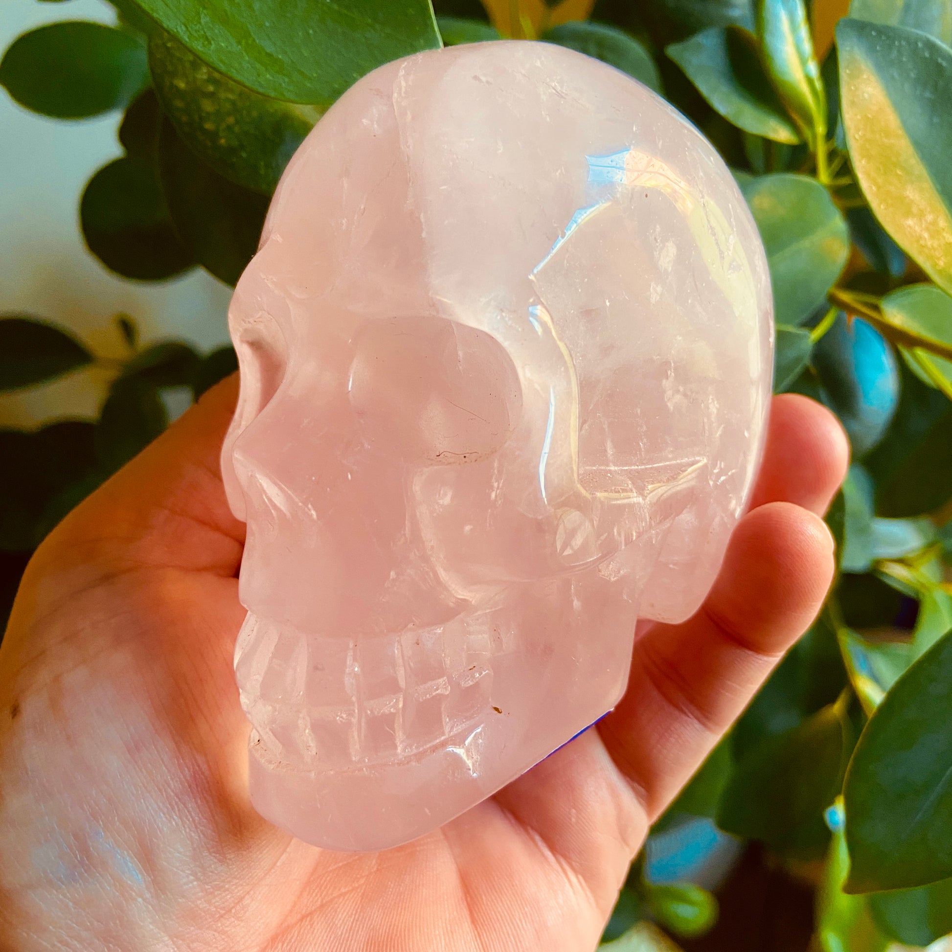 Rose Quartz Large Skull – 704g - Earth Elements UK