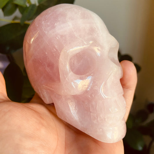 Rose Quartz Large Skull – 646g - Earth Elements UK