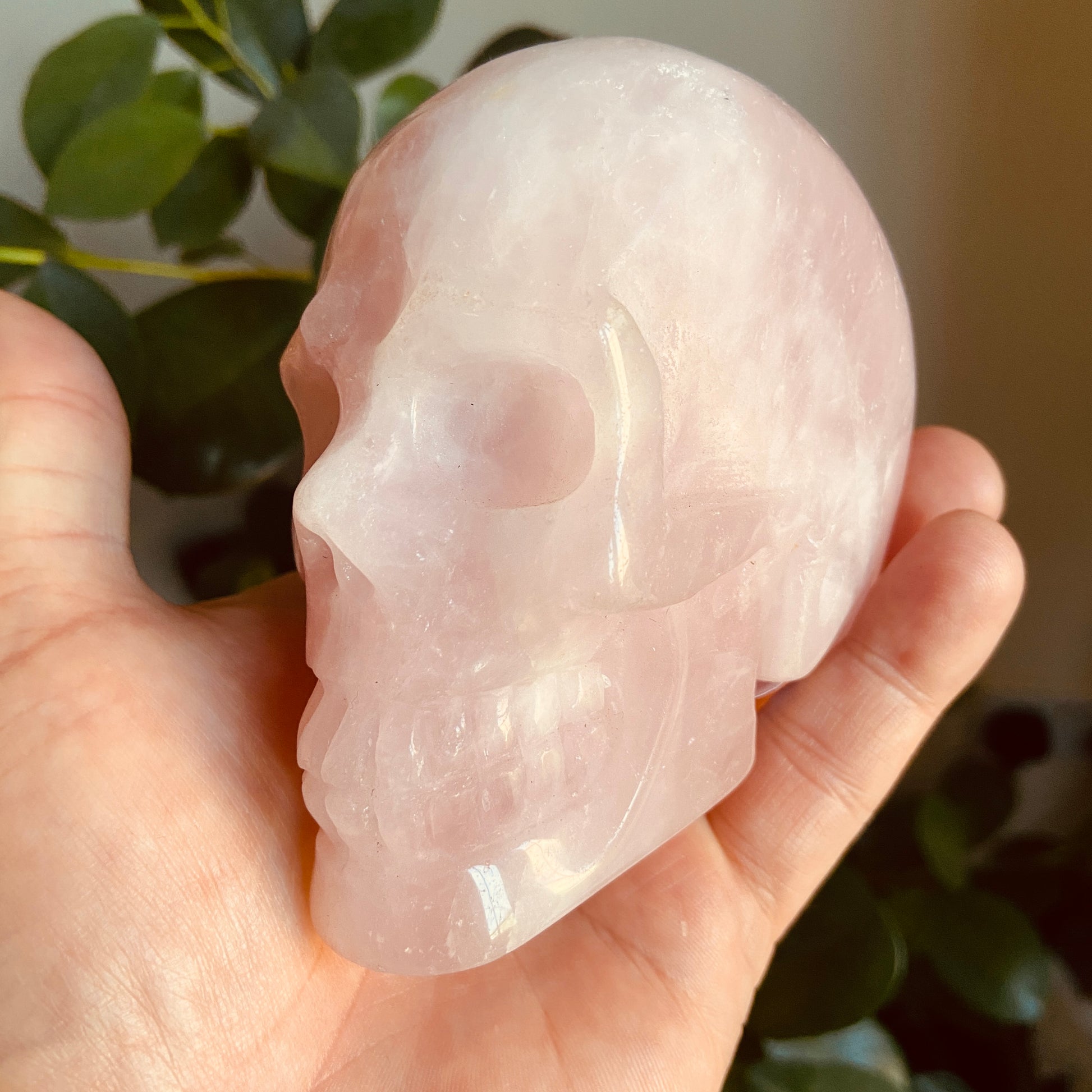 Rose Quartz Large Skull – 646g - Earth Elements UK