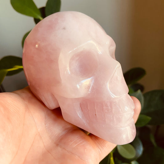 Rose Quartz Large Skull – 547g - Earth Elements UK