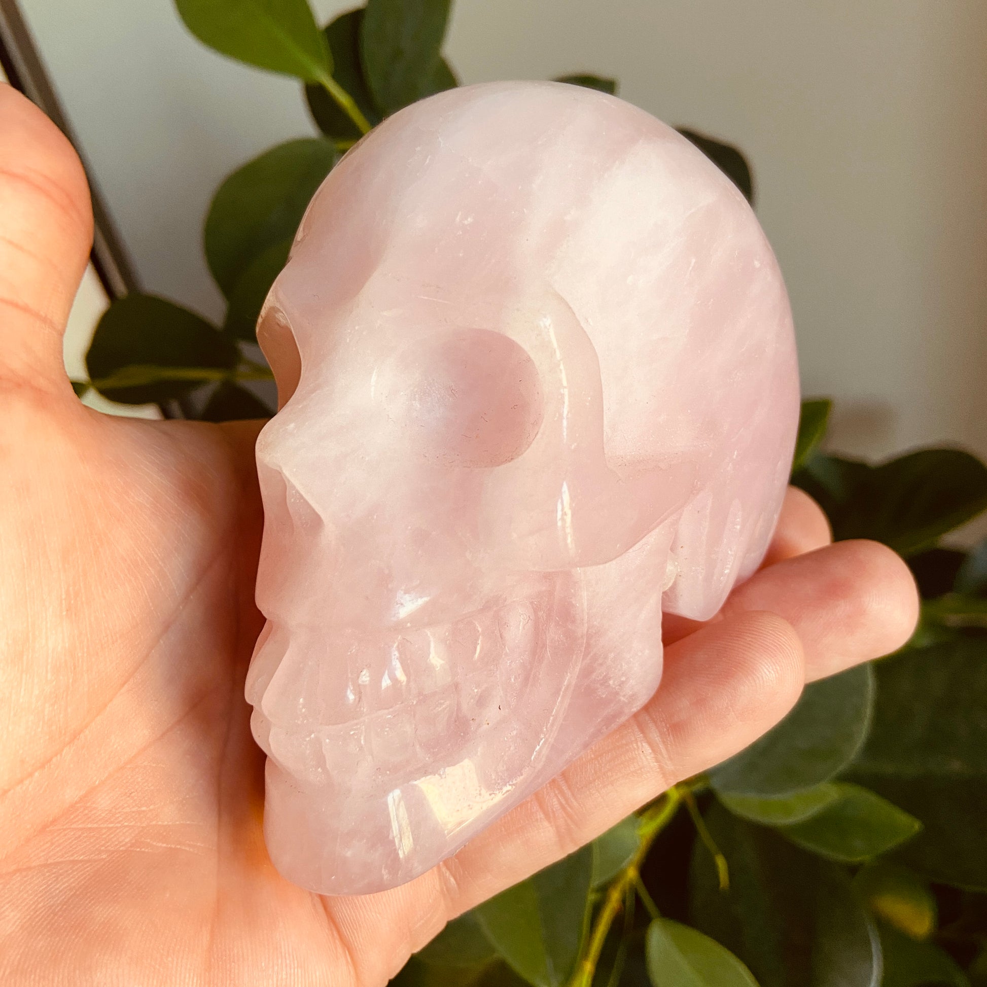 Rose Quartz Large Skull – 547g - Earth Elements UK