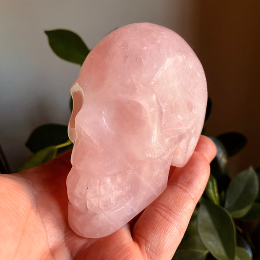 Rose Quartz Large Skull – 396g - Earth Elements UK