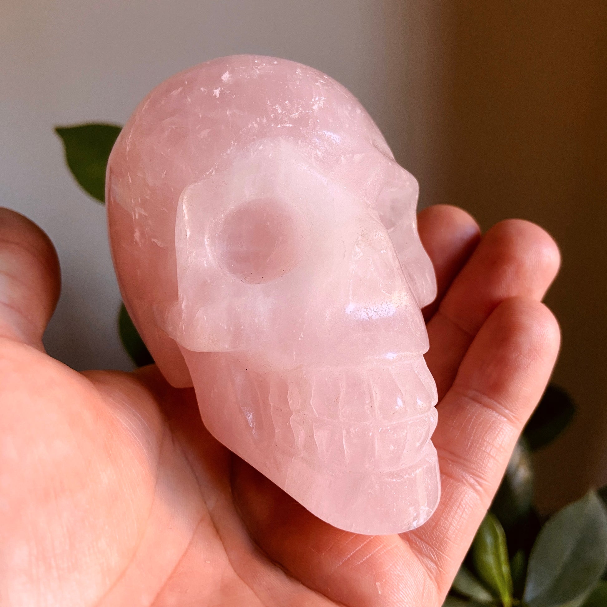Rose Quartz Large Skull – 396g - Earth Elements UK