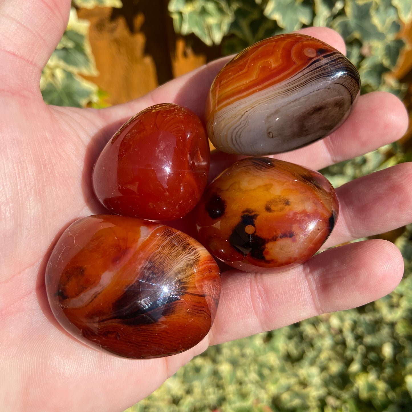 Sardonyx Dark Palm Stones - Earth Elements UK