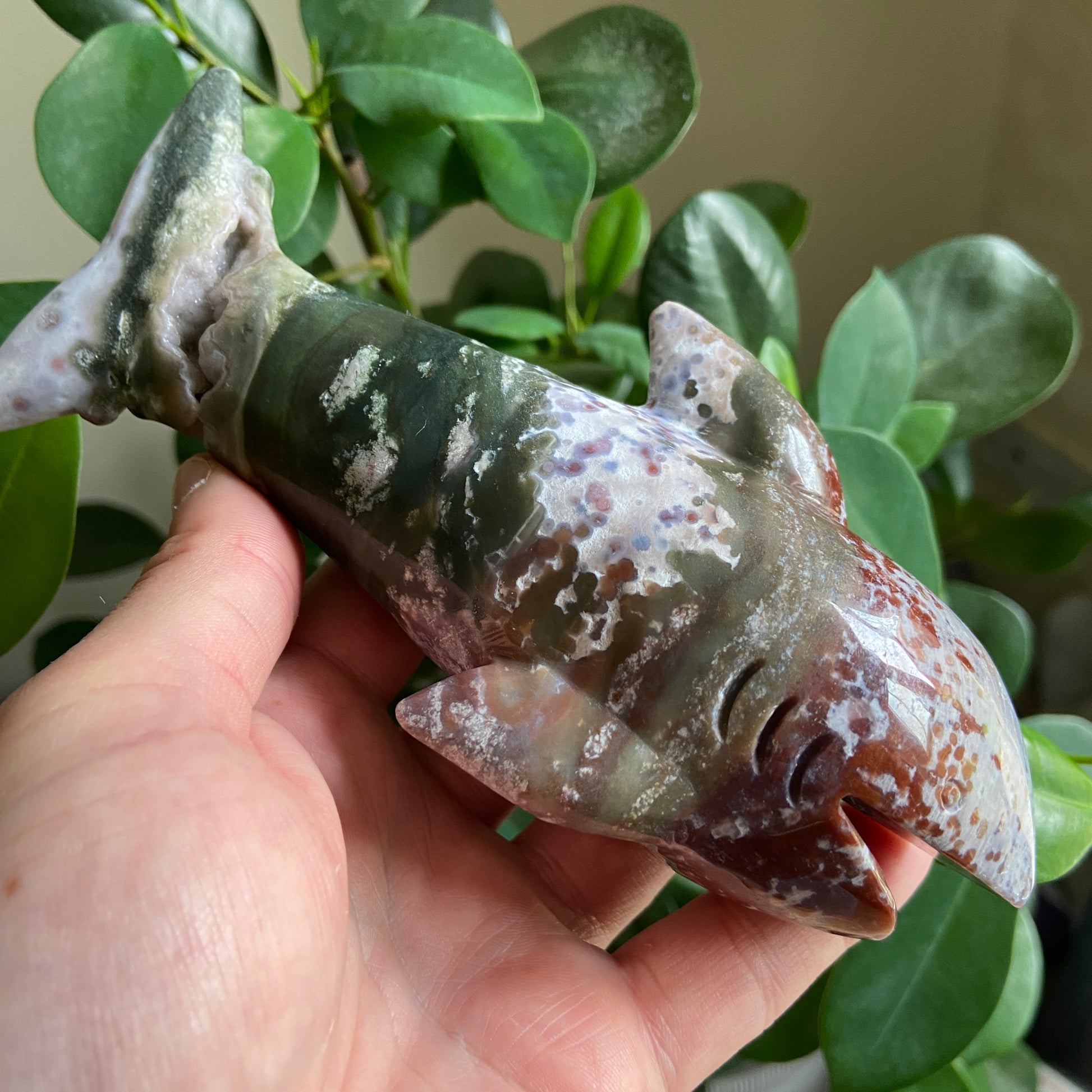 Ocean Jasper Druzy Large Shark - Earth Elements UK