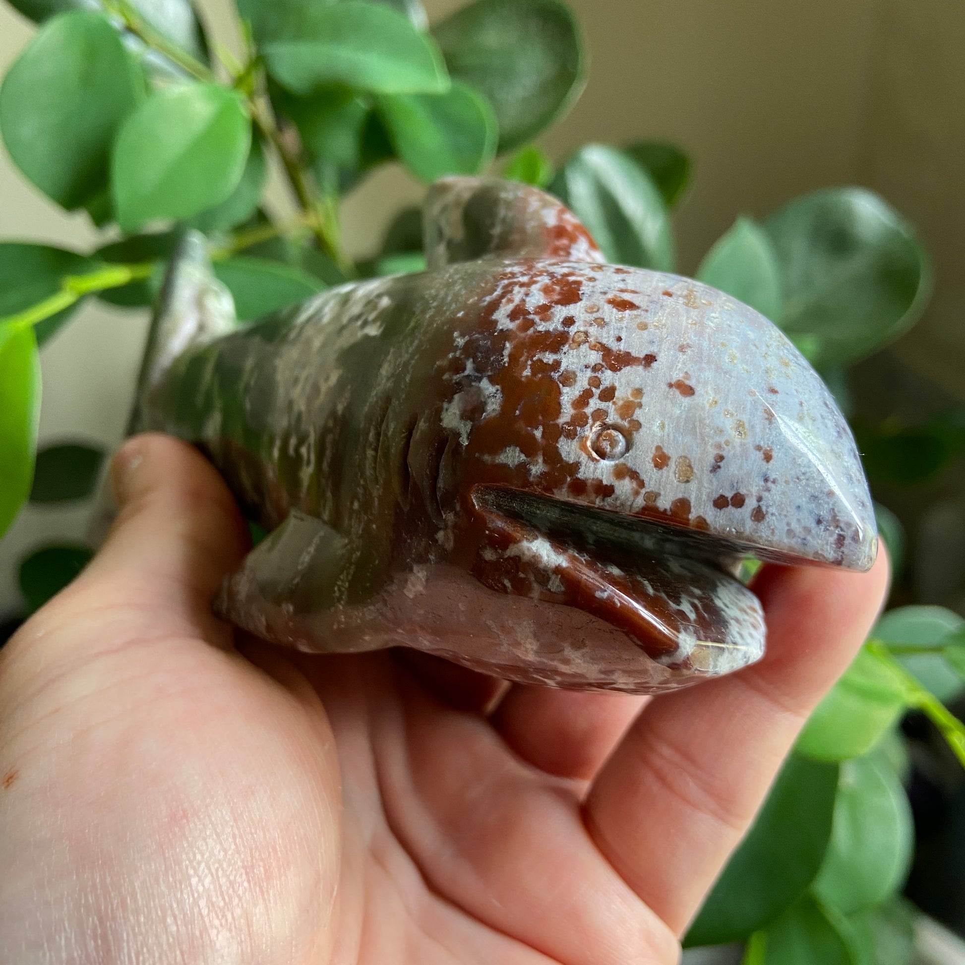 Ocean Jasper Druzy Large Shark - Earth Elements UK