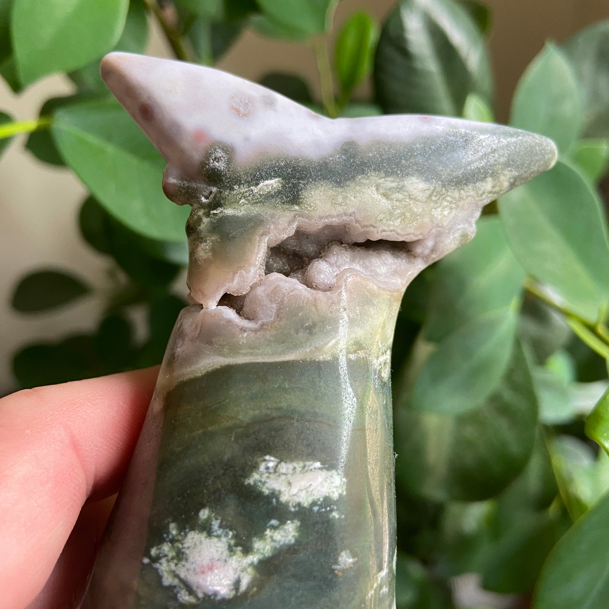 Ocean Jasper Druzy Large Shark - Earth Elements UK