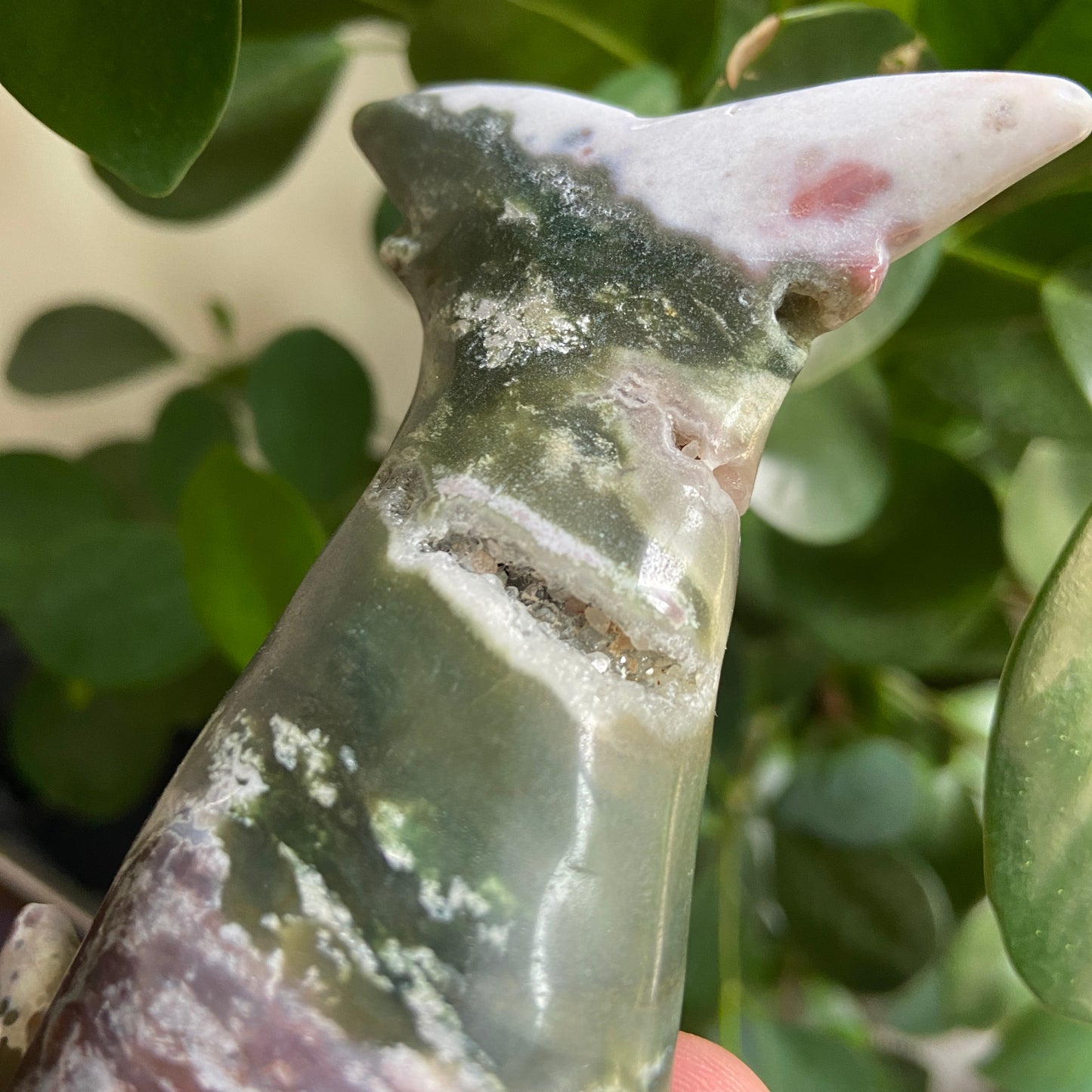 Ocean Jasper Druzy Large Shark - Earth Elements UK