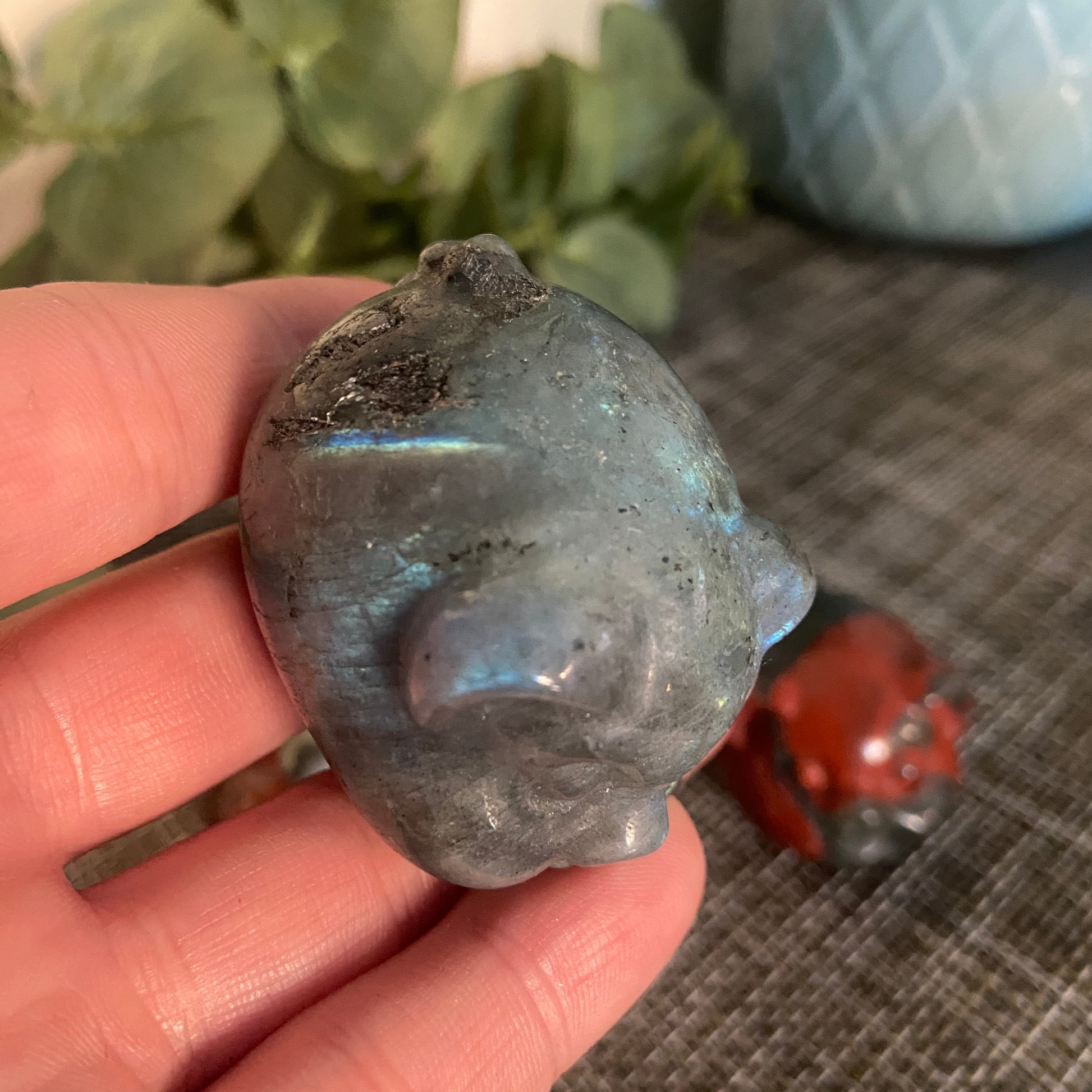Chunky Pig Carvings - Earth Elements UK