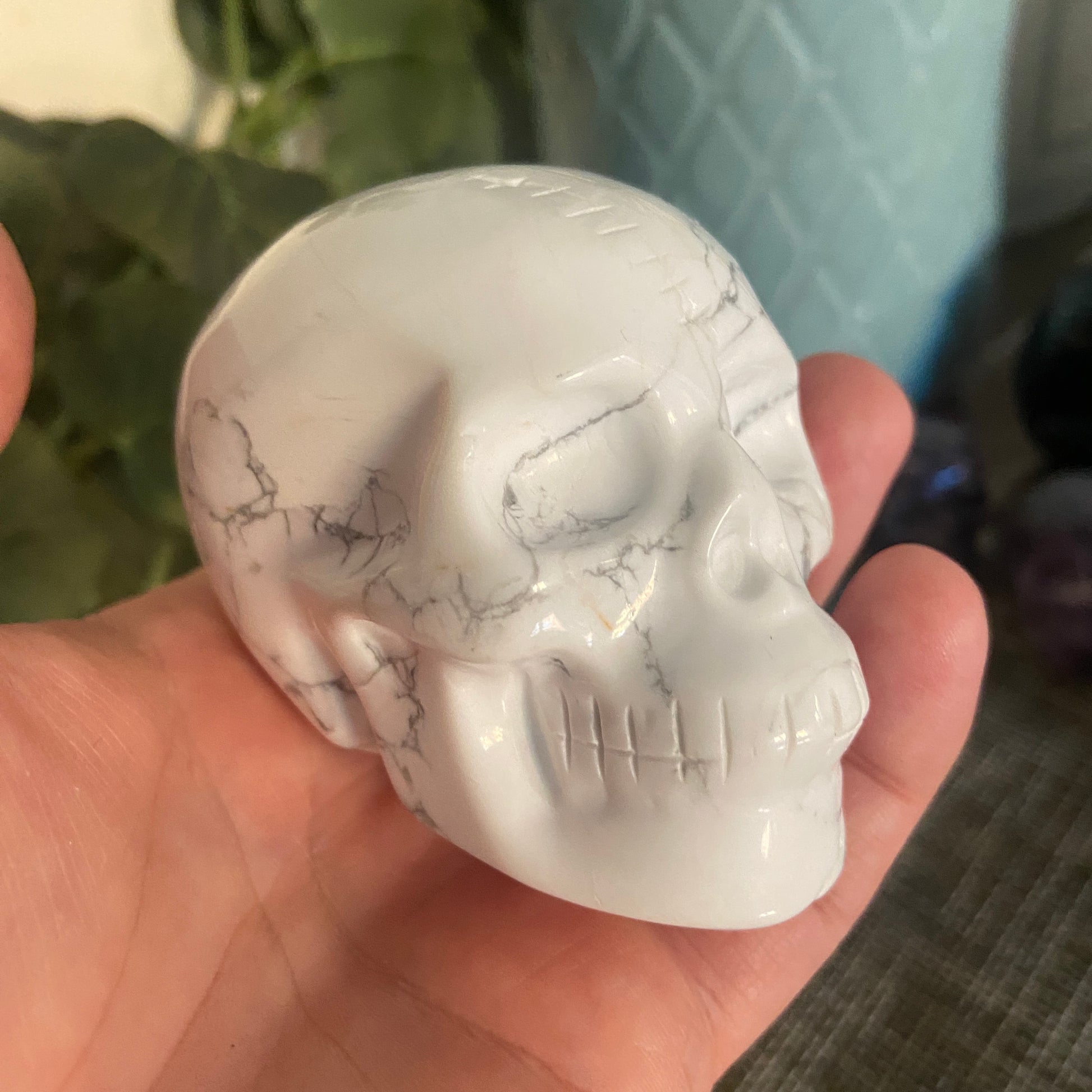 Howlite Large Skull - Earth Elements UK