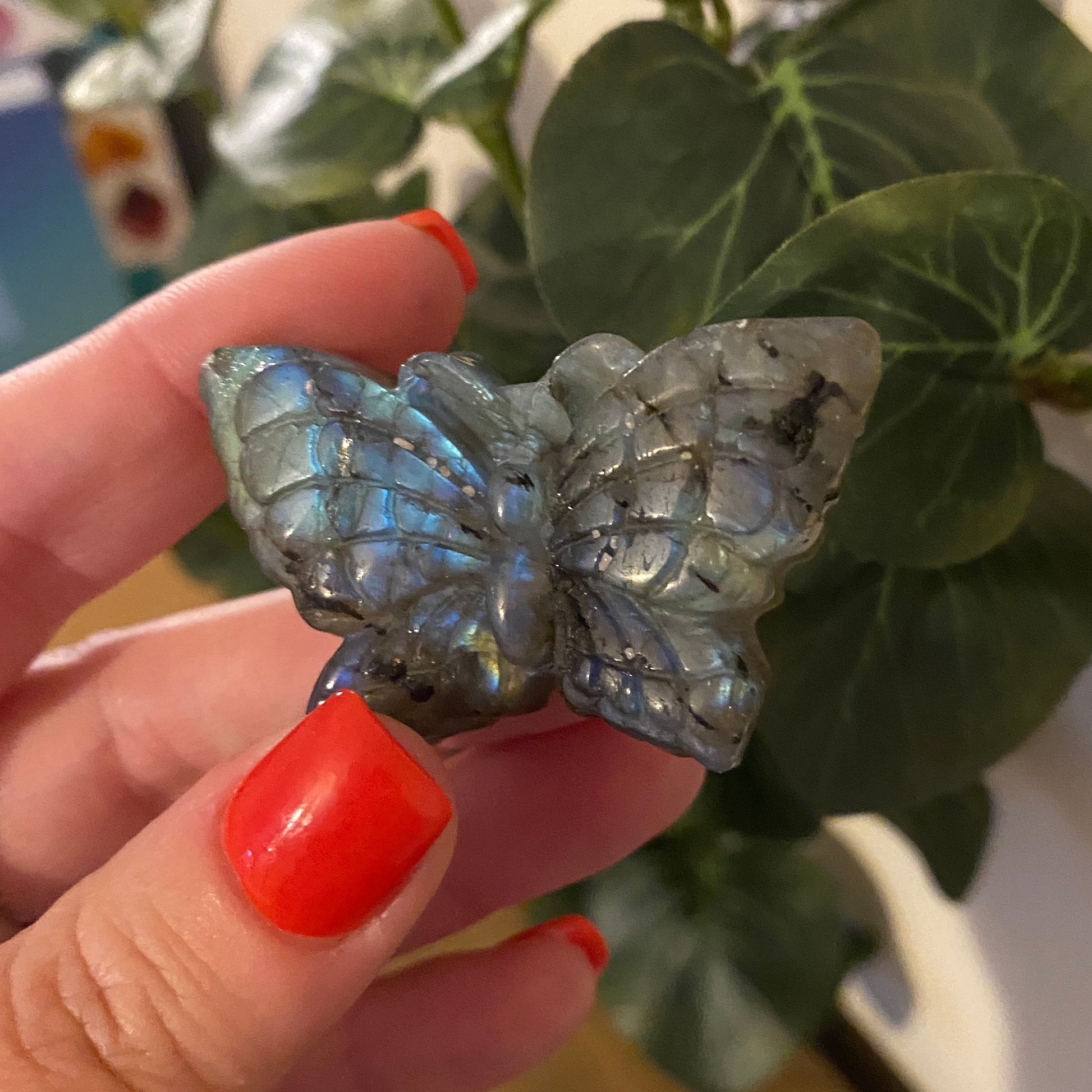 Labradorite Butterfly - Earth Elements UK