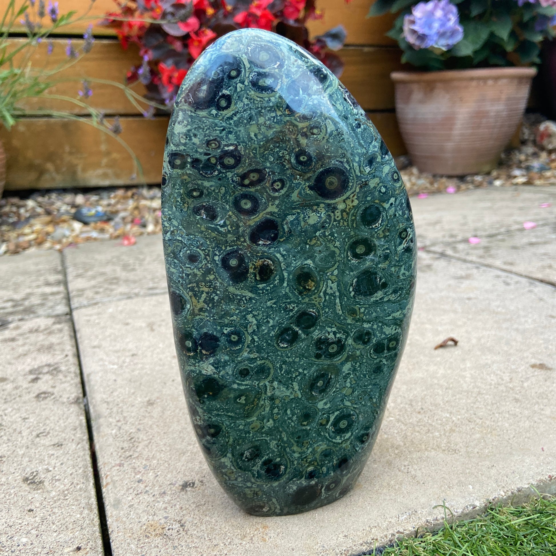 2.5kg Kumbaba Jasper Polished Freeform XXL 2.5kg - Earth Elements UK