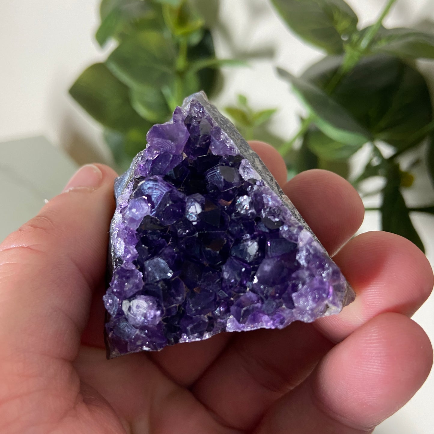 Brazilian Amethyst Clusters - Earth Elements UK