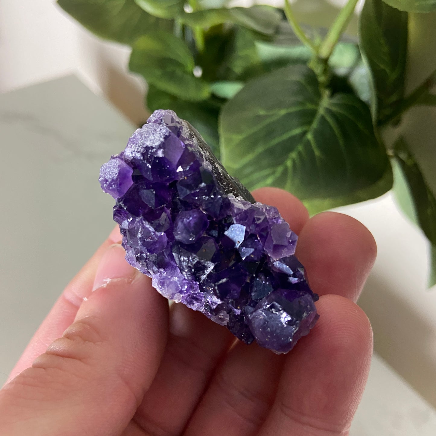 Brazilian Amethyst Clusters - Earth Elements UK