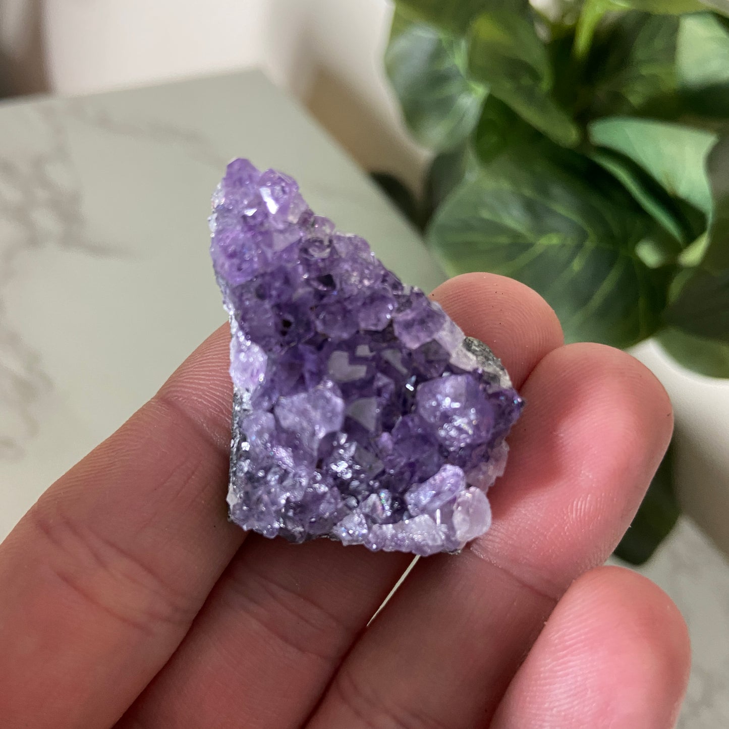 Brazilian Amethyst Clusters - Earth Elements UK