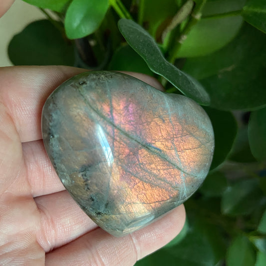 Medium Labradorite Hearts - Earth Elements UK
