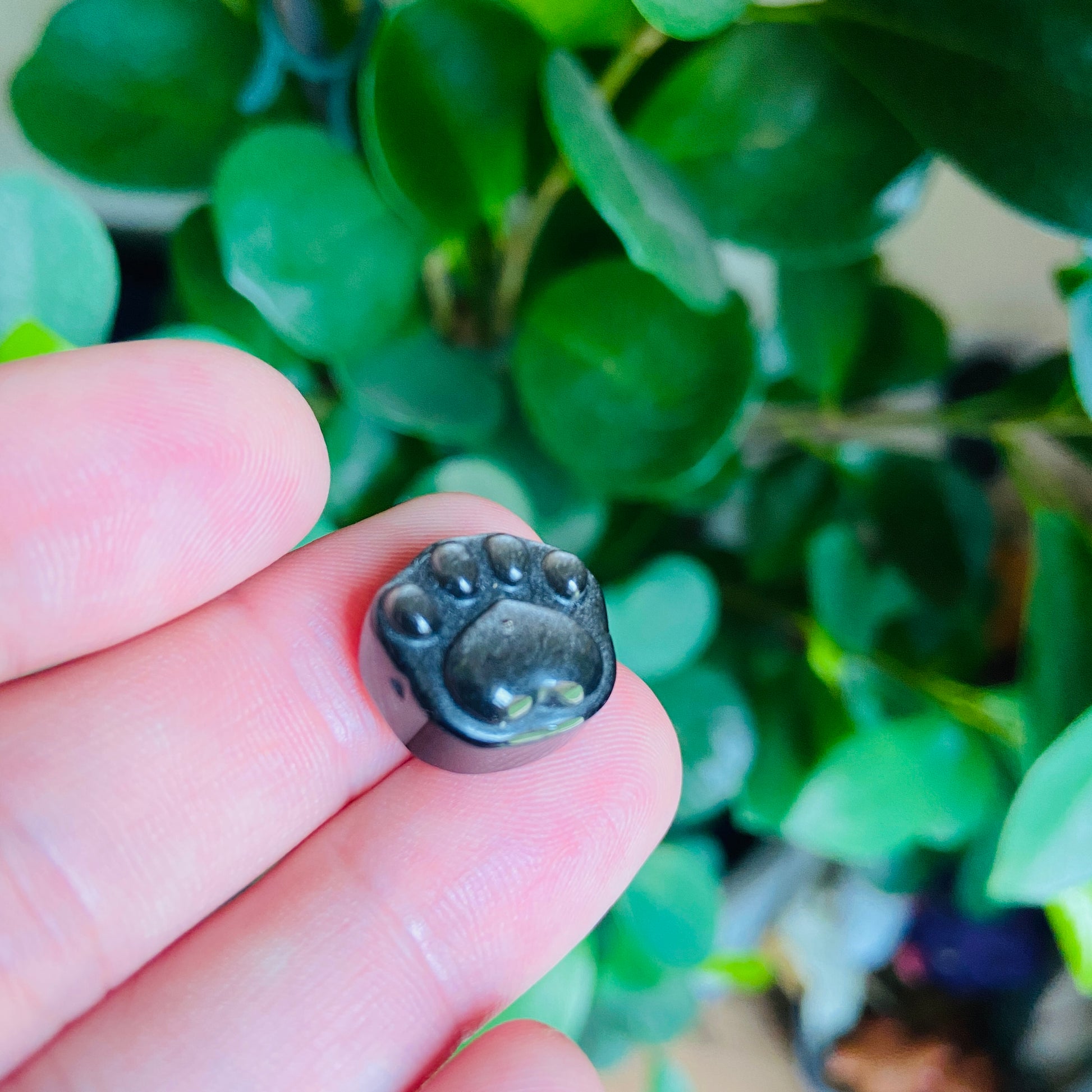 Mini Crystal Paw Print - Earth Elements UK