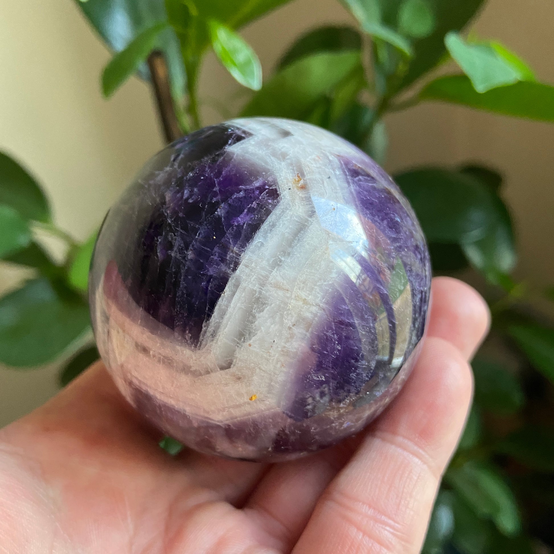 Dream Amethyst Spheres - Earth Elements UK